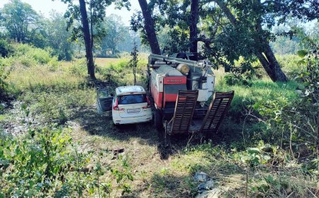 गरियाबंद में नेशनल हाइवे 130सी पर बड़ा हादसा, ड्राइवर की मौत