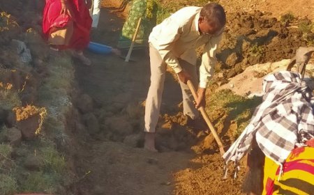 महात्मा गांधी नरेगा के कार्यों में रफ्तार, 29,500 से अधिक ग्रामीणों को मिला रोजगार