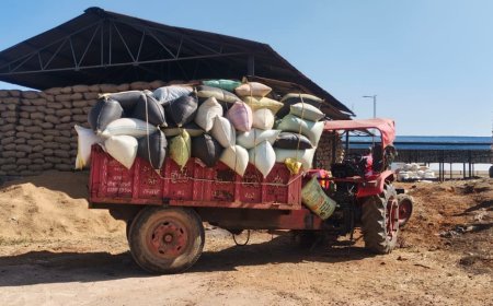 कुसमी धान मंडी में बड़ा हादसा: ट्रैक्टर पलटने से किसान हरिमोहन एक्का की मौत, अव्यवस्थित प्रबंधन पर उठे सवाल