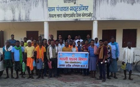 एफ.आर.ए. क्लस्टर ग्राम मयूरडोंगर में 3 दिवसीय तकनीकी उन्नयन प्रशिक्षण सम्पन्न, 40 कृषक हुए लाभान्वित