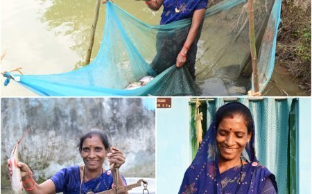 बिहान से बदली तक़दीर: मछली पालन से आत्मनिर्भर बनीं फुलबती मरकाम, गांव से सरपंच तक का प्रेरक सफर