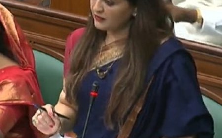 अंजोर विज़न डॉक्यूमेंट 2047 पर विधानसभा में विधायक भावना बोहरा के विचार: हर ब्लॉक और गाँव तक पहुँचे जिला स्तरीय सुविधाएँ