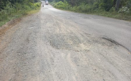 नगरी क्षेत्र की सड़कों पर गड्ढों का राज, स्कूली छात्र-छात्राओं और राहगीरों की बढ़ी मुश्किलें