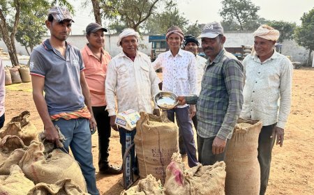 समर्थन मूल्य पर धान उपार्जन में तेजी, 45 हजार से अधिक किसानों से खरीदी