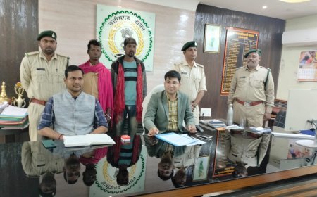 कवर्धा वनमंडल में बायसन (गौर) मौत का खुलासा, वन विभाग की त्वरित कार्रवाई से दो आरोपी गिरफ्तार