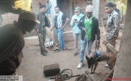 कवर्धा वनमंडल में बायसन (गौर) मृत्यु प्रकरण का खुलासा, वन विभाग की त्वरित कार्रवाई से दो आरोपी गिरफ्तार