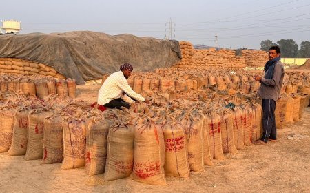 समर्थन मूल्य पर धान खरीदी सुचारु, अवैध गतिविधियों पर कलेक्टर की कड़ी नजर