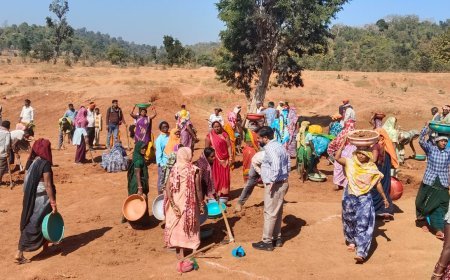 मनरेगा कार्यों का निरीक्षण करने फील्ड पहुंचे जिला पंचायत सीईओ अजय कुमार त्रिपाठी
