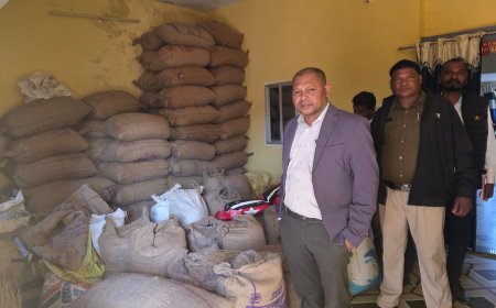 कोरबा में अवैध धान भंडारण पर बड़ी कार्रवाई, 238 बोरियों में 95.20 क्विंटल धान जब्त