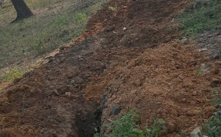 सीवरेज ट्रीटमेंट प्लांट कार्य पर सवाल, क्या एसईसीएल जमुना कोतमा को वन विभाग की अनुमति है?