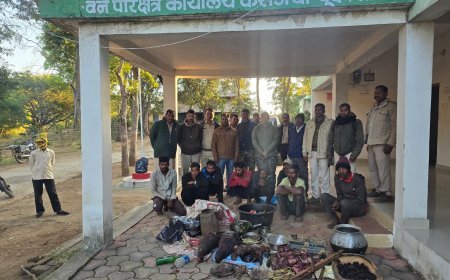 डिंडोरी में वन्यप्राणी अपराध का खुलासा, 2 जंगली सूअर के शिकार, बिक्री व परिवहन में 8 आरोपी गिरफ्तार