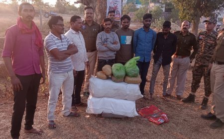 ऑपरेशन निश्चय के तहत गरियाबंद पुलिस की बड़ी कार्रवाई, 40 किलो गांजा के साथ 4 अंतर्राज्यीय तस्कर गिरफ्तार