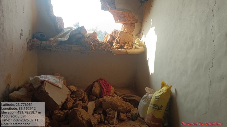 बलरामपुर में हाथी का आतंक, दल से बिछड़े हाथी ने किसानों के घर तोड़े