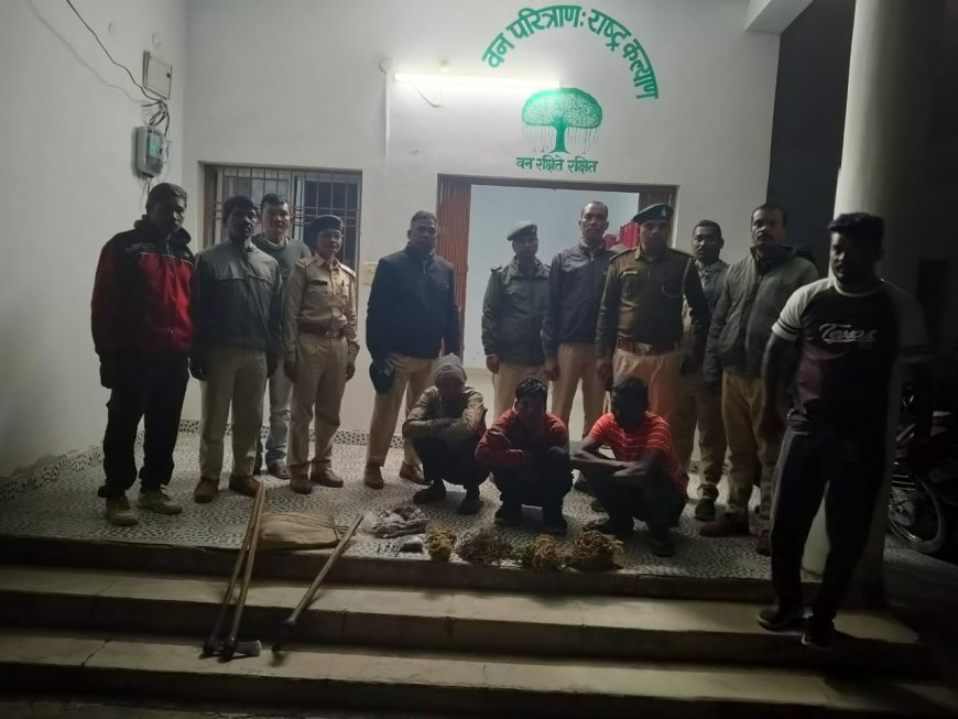 बैकुंठपुर वनमंडल में साही का अवैध शिकार, तीन आरोपी गिरफ्तार
