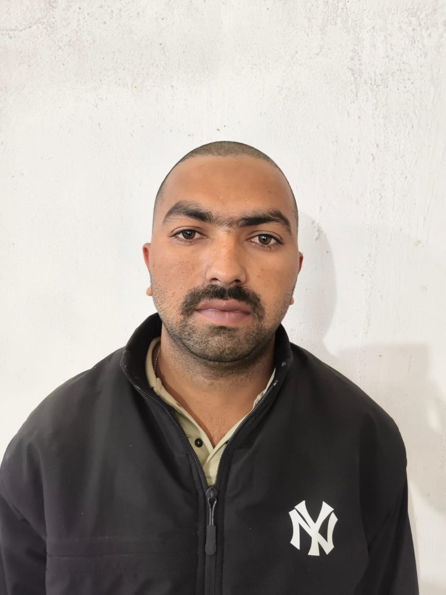 ऑपरेशन शंखनाद: जशपुर पुलिस की बड़ी कार्रवाई, 13 गौवंश तस्करों के चंगुल से मुक्त, 2 आरोपी गिरफ्तार