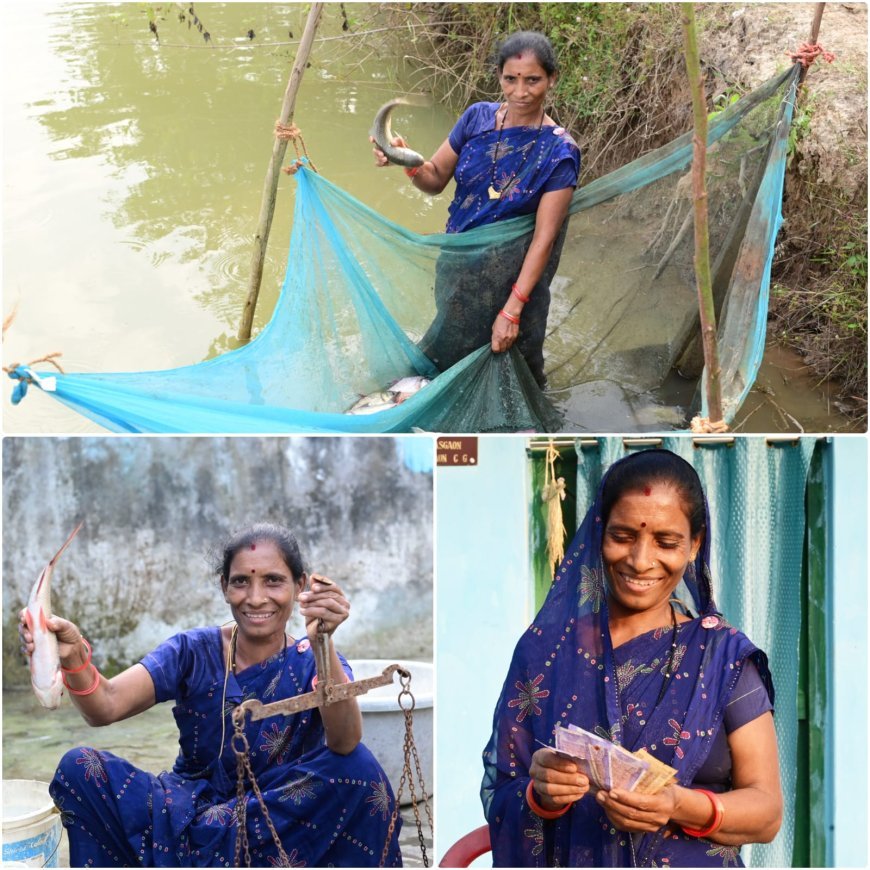 बिहान से बदली तक़दीर: मछली पालन से आत्मनिर्भर बनीं फुलबती मरकाम, गांव से सरपंच तक का प्रेरक सफर