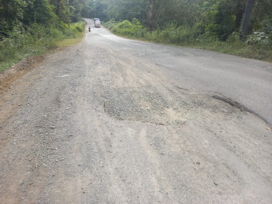 नगरी क्षेत्र की सड़कों पर गड्ढों का राज, स्कूली छात्र-छात्राओं और राहगीरों की बढ़ी मुश्किलें