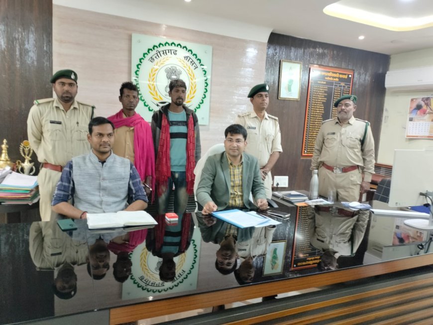 कवर्धा वनमंडल में बायसन (गौर) मौत का खुलासा, वन विभाग की त्वरित कार्रवाई से दो आरोपी गिरफ्तार