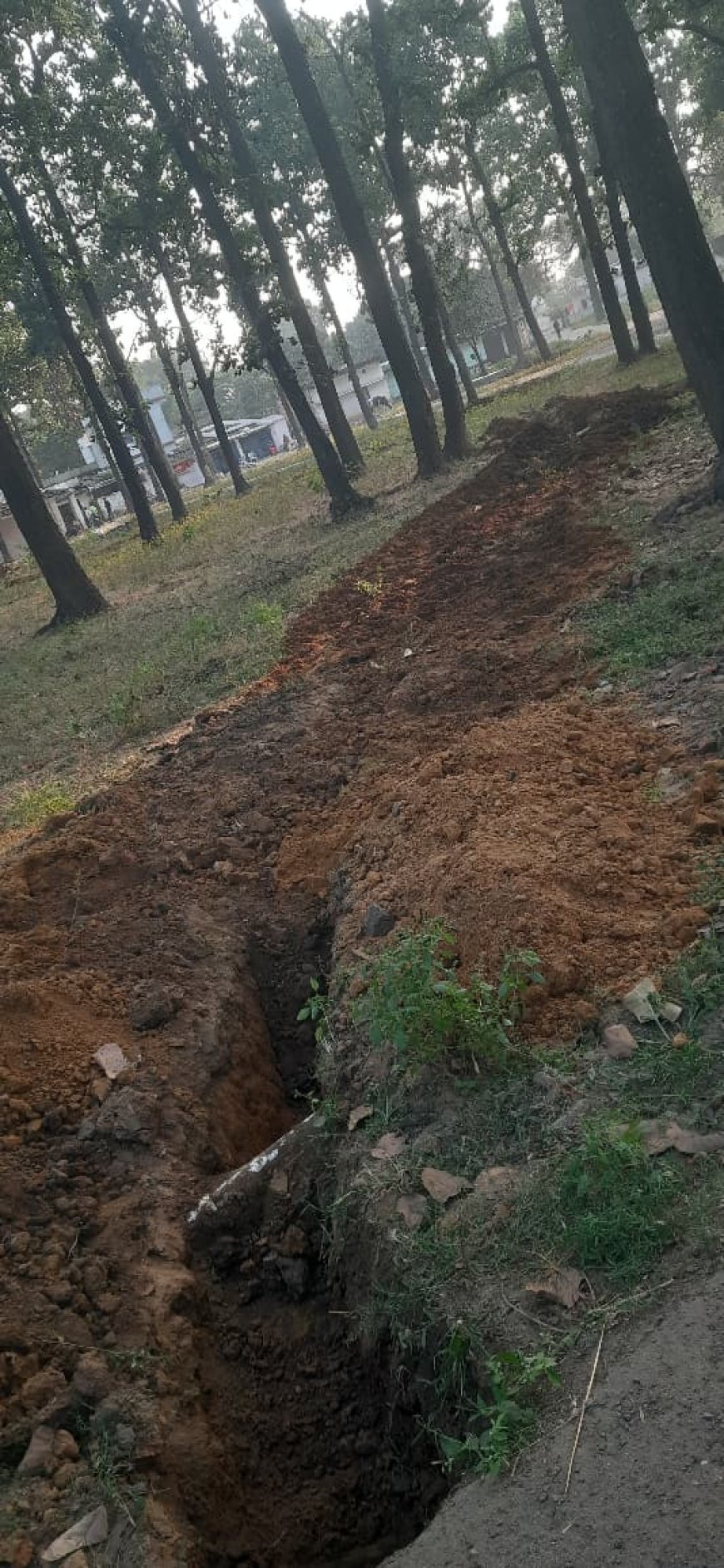 सीवरेज ट्रीटमेंट प्लांट कार्य पर सवाल, क्या एसईसीएल जमुना कोतमा को वन विभाग की अनुमति है?