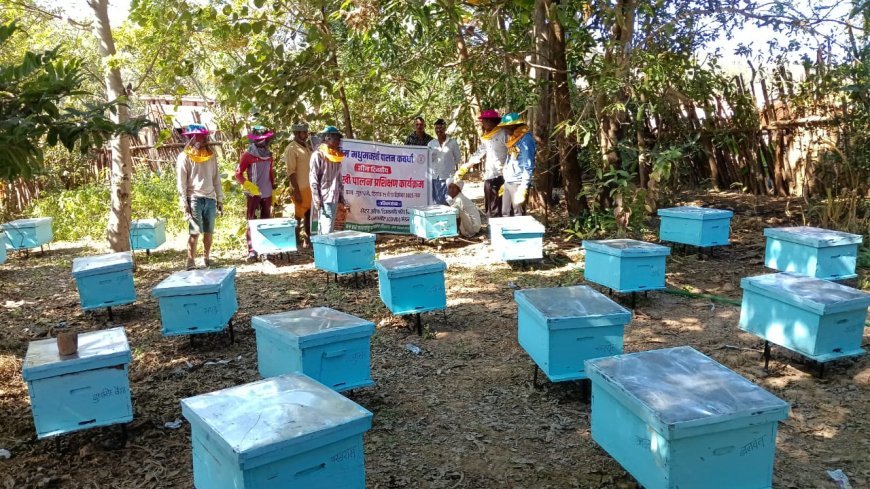 डीएमएफ मद से आजीविका संवर्धन की पहल: बोड़ला के थुहापानी में कृत्रिम मधुमक्खी पालन प्रशिक्षण सम्पन्न