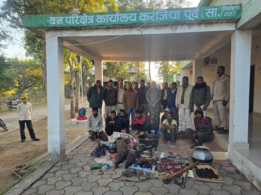 डिंडोरी में वन्यप्राणी अपराध का खुलासा, 2 जंगली सूअर के शिकार, बिक्री व परिवहन में 8 आरोपी गिरफ्तार