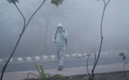 दिल्ली-पंजाब समेत कई राज्यों में सर्दी का कहर: शीतलहर, कोहरा और बर्फबारी का ट्रिपल अटैक