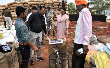 कलेक्टर दिव्या उमेश मिश्रा ने चार धान खरीदी केंद्रों का किया आकस्मिक निरीक्षण, गुणवत्ता और रकबा समर्पण पर दिया जोर