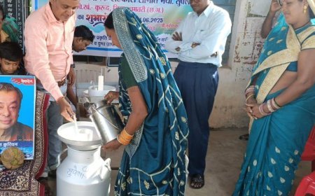 धमतरी बना श्वेत क्रांति का उभरता मॉडल जिला, दुग्ध व्यवसाय से ग्रामीण समृद्धि की नई कहानी