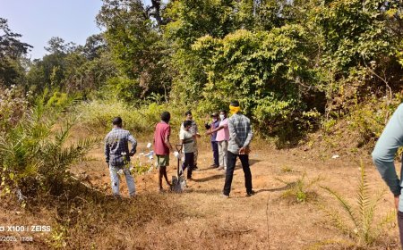 नारायणपुर: संदिग्ध कब्र से निकला काले कुत्ते का शव, 15 दिन की दहशत के बाद ग्रामीणों ने ली राहत की सांस