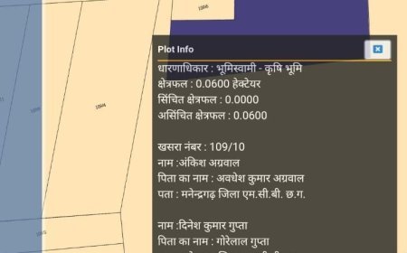 मनेंद्रगढ़ में भू-माफियाओं का ‘जमीन बदलो’ खेल, सरकारी कागजों और दलालों के मायाजाल में करोड़ों की हेराफेरी