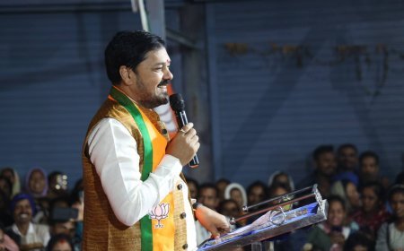 नागपुर महानगरपालिका चुनाव 2026: छत्तीसगढ़ के सुपरस्टार विधायक अनुज शर्मा ने संभाली प्रचार की कमान, 6 चुनावी सभाओं में किया धुआंधार संबोधन