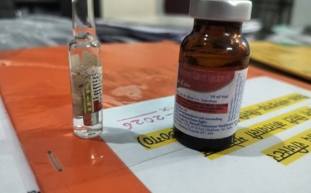 मनेन्द्रगढ़ पुलिस की बड़ी कार्रवाई, नशीले इंजेक्शनों के साथ नाबालिग गिरफ्तार; 60 हजार का माल जब्त