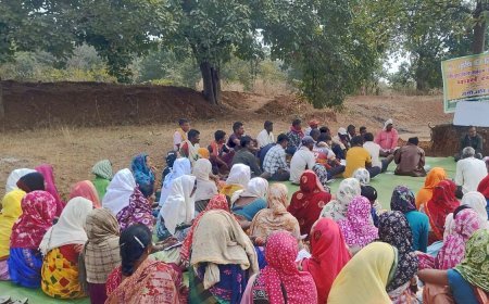 धमतरी के आदिवासी अंचल में 50 वर्ष बाद रबी सीजन की खेती की ऐतिहासिक शुरुआत, 35 एकड़ में रागी उत्पादन