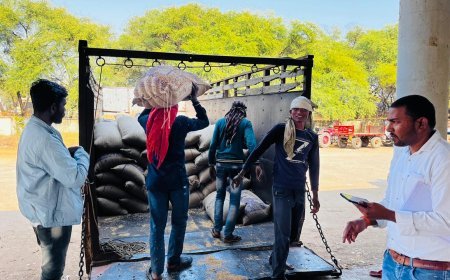 कबीरधाम जिले में सुचारू रूप से जारी धान खरीदी, 79,514 किसानों से 4.28 लाख मीट्रिक टन धान की खरीद