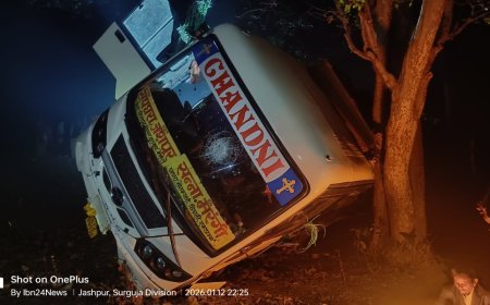 जशपुर में अवैध लकड़ी तस्करी पर बड़ी कार्रवाई, लावारिस पिकअप से 60 हजार की शीशम लकड़ी जब्त