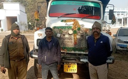 अवैध खनिज परिवहन पर खनिज विभाग की बड़ी कार्रवाई, गिट्टी से भरा डंफर जप्त