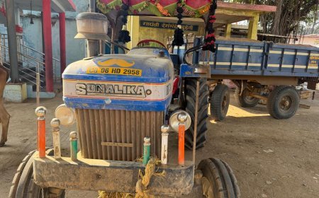 जिले में अवैध रेत कारोबार पर खनिज विभाग की बड़ी कार्रवाई, जेसीबी–हाईवा सहित वाहन जब्त