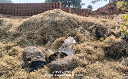 अमेरा–रेहर खदान में कोयला चोरी का बड़ा नेटवर्क, बाइकर्स गैंग के जरिए ईंट भट्टों तक पहुंच रहा अवैध कोयला