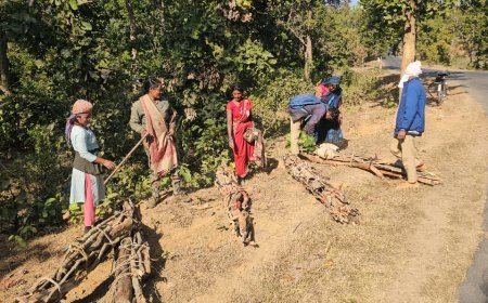 पर्यावरण रक्षा की मुहिम: देवगढ़ वन विभाग ने महिलाओं को दी सूखी लकड़ी उपयोग करने की समझाइश, अवैध कटाई पर सख्त कार्रवाई