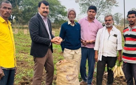 उपसंचालक कृषि जितेंद्र सिंह का छिंदवाड़ा में गौ आधारित जैविक कृषक राहुल वसूले के SRJ Farms का भ्रमण