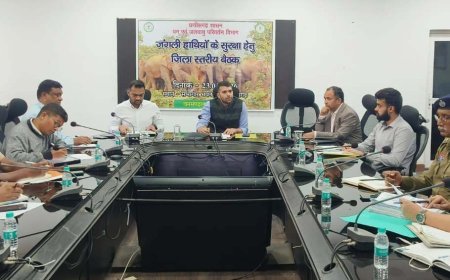 हाथी प्रभावित क्षेत्रों में जानमाल की सुरक्षा के लिए जन-जागरूकता जरूरी – कलेक्टर मयंक चतुर्वेदी