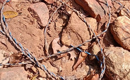 दंतेवाड़ा के बारसूर क्षेत्र में सुरक्षाबलों की बड़ी कामयाबी, जंगल से दो IED बरामद