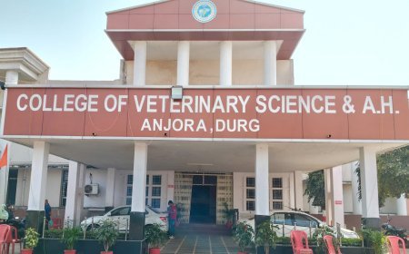 कामधेनु विश्वविद्यालय दुर्ग में चतुर्थ दीक्षांत समारोह का आयोजन, 1536 विद्यार्थियों को मिलेगी उपाधि