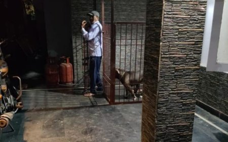 नगर निगम का सख्त रुख: प्रतिबंधित पिटबुल कुत्ता रखने पर अनुपम नगर निवासी को नोटिस, दंडात्मक कार्रवाई की चेतावनी