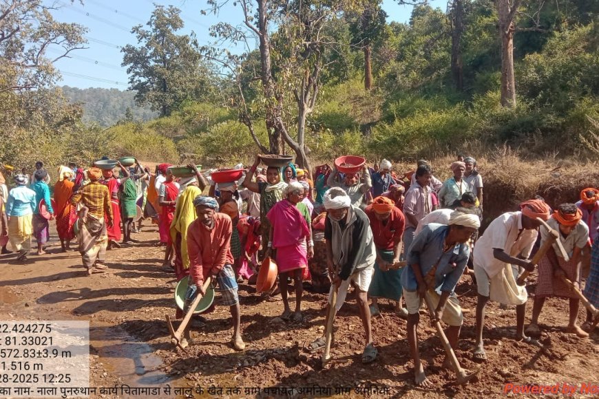 महात्मा गांधी नरेगा योजना के क्रियान्वयन में कबीरधाम जिला फिर अग्रणी, रोजगार सृजन में बना प्रदेश का सिरमौर