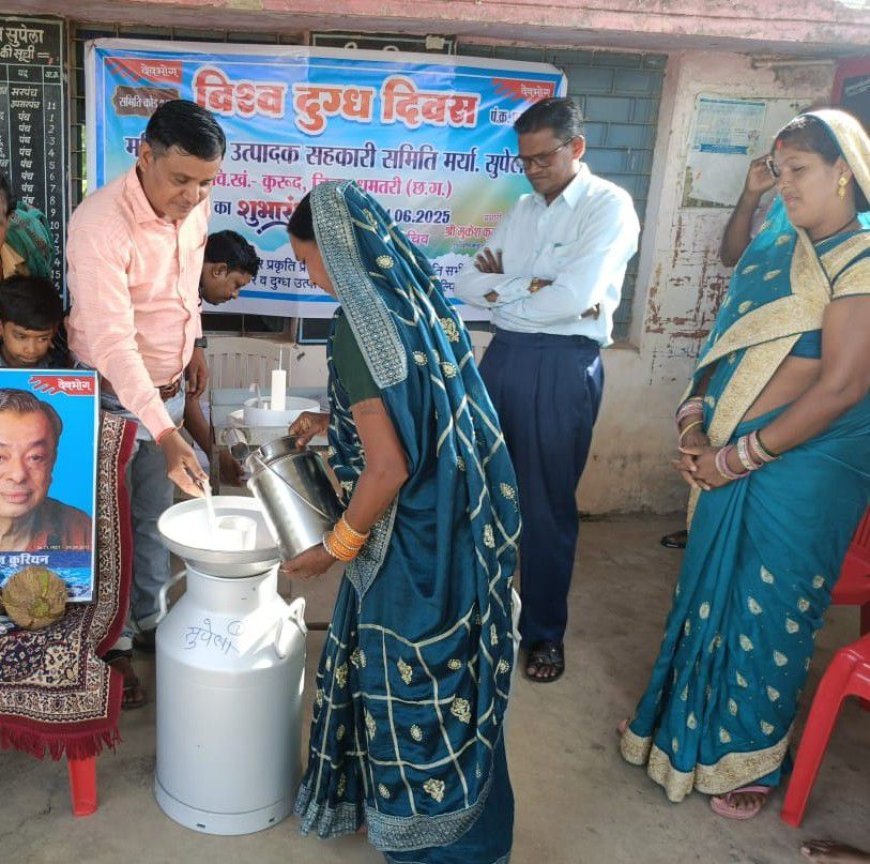 धमतरी बना श्वेत क्रांति का उभरता मॉडल जिला, दुग्ध व्यवसाय से ग्रामीण समृद्धि की नई कहानी