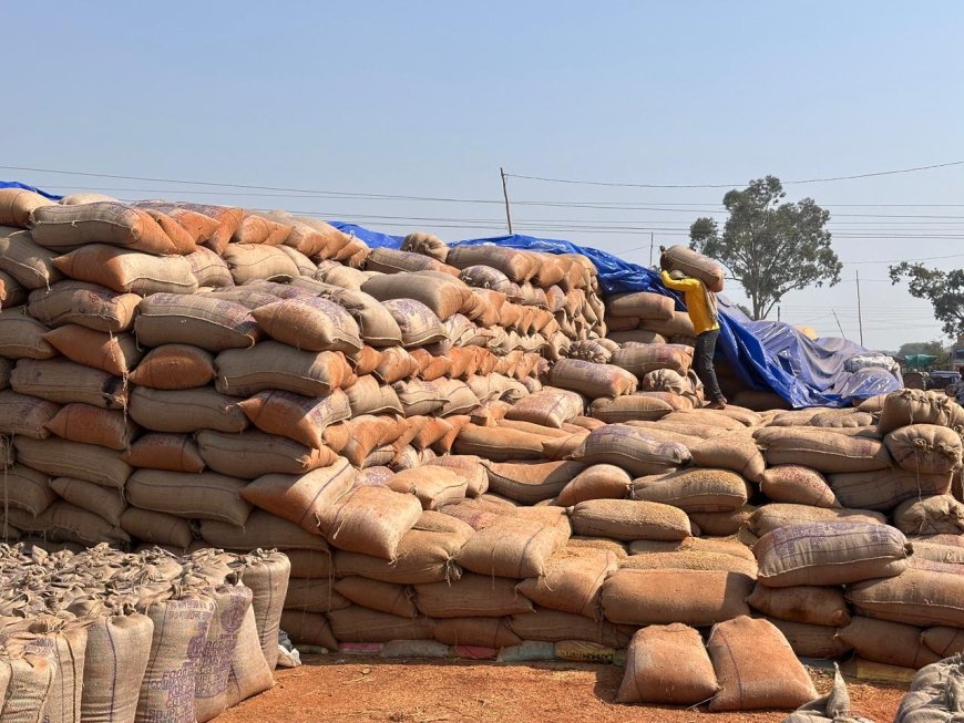 समर्थन मूल्य पर धान उपार्जन 2025–26: समयबद्ध भुगतान और सुचारू व्यवस्था से किसानों का बढ़ा भरोसा