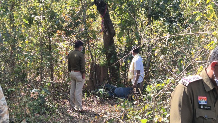 बोरगांव जंगल में मिला अज्ञात युवक का सड़ा-गला शव, पेड़ और गले में बंधा था गमछा