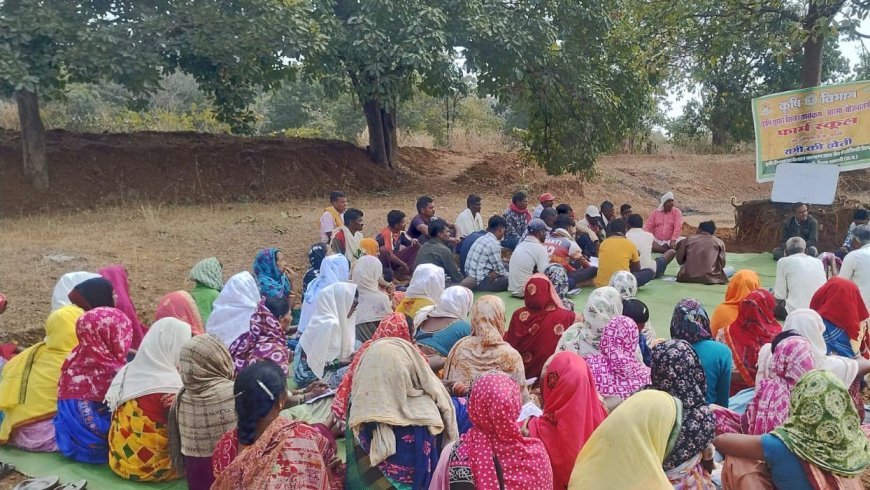 धमतरी के आदिवासी अंचल में 50 वर्ष बाद रबी सीजन की खेती की ऐतिहासिक शुरुआत, 35 एकड़ में रागी उत्पादन