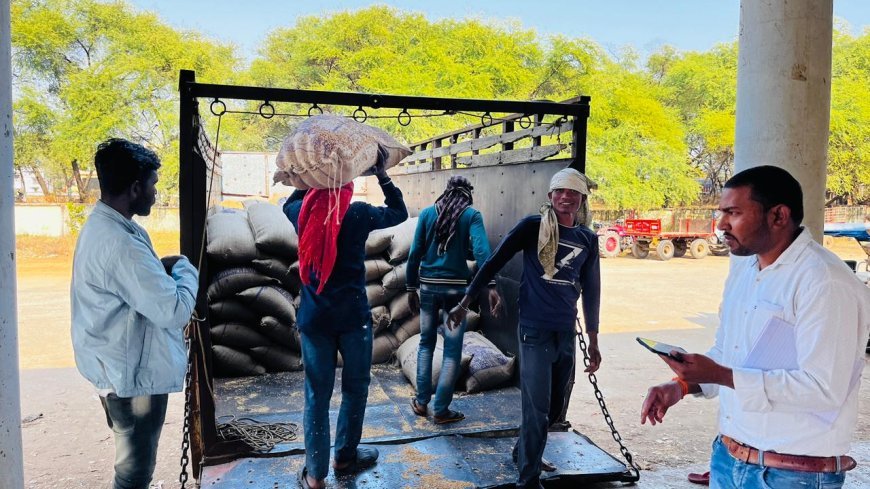 कबीरधाम जिले में सुचारू रूप से जारी धान खरीदी, 79,514 किसानों से 4.28 लाख मीट्रिक टन धान की खरीद